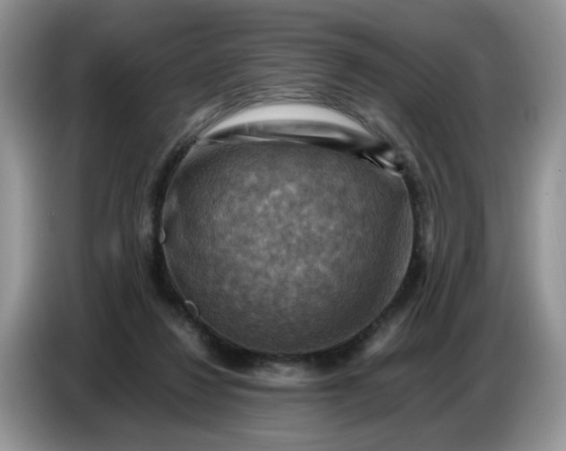 X0000086770260200704271756