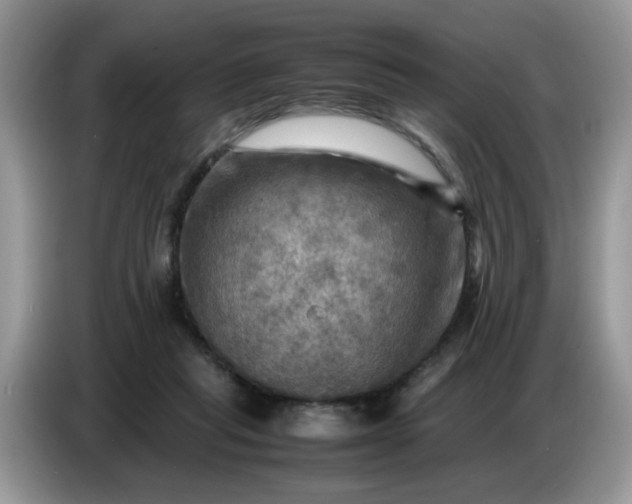 X0000086770261200704271756