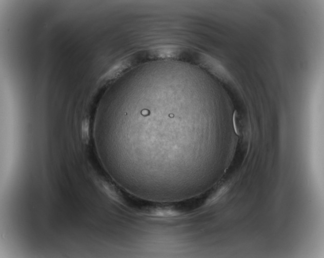 X0000086770262200704271756