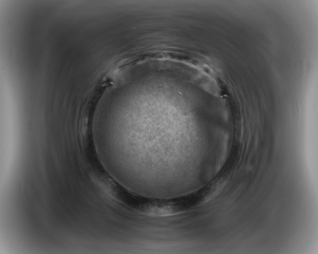 X0000086770263200704271756