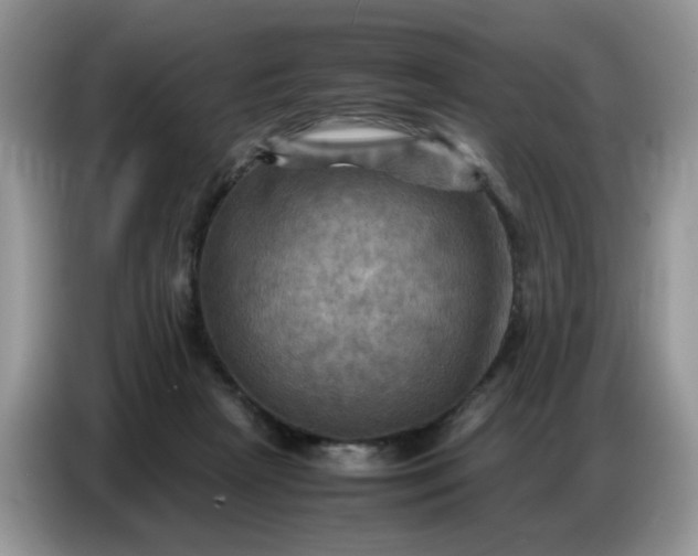 X0000086770265200704271756