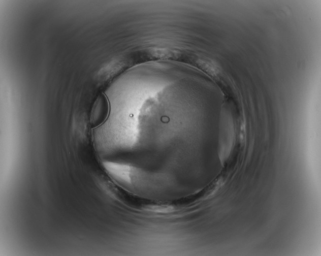 X0000086770266200704271756