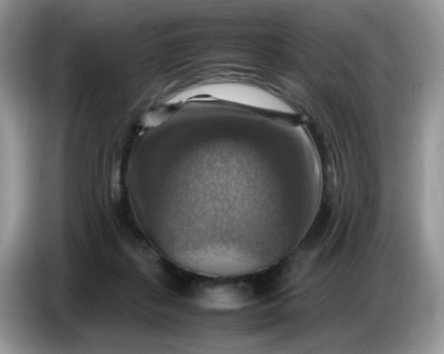 X0000086770267200704271756