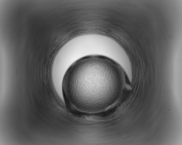 X0000086770268200704271756