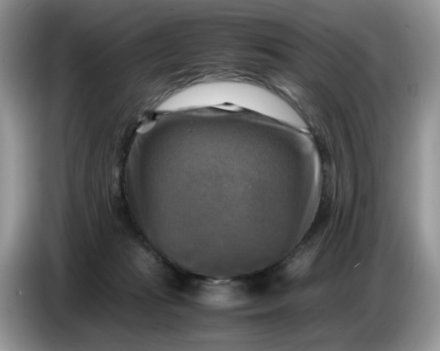 X0000086770269200704271756