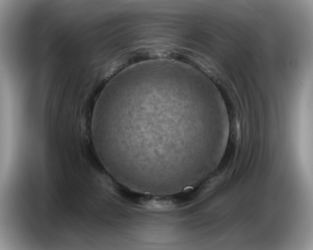 X0000086770270200704271756
