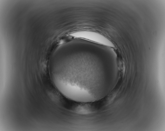 X0000086770271200704271756