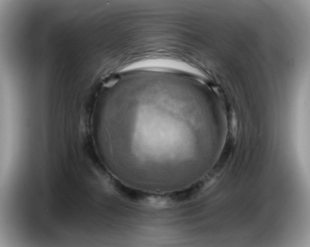 X0000086770272200704271756