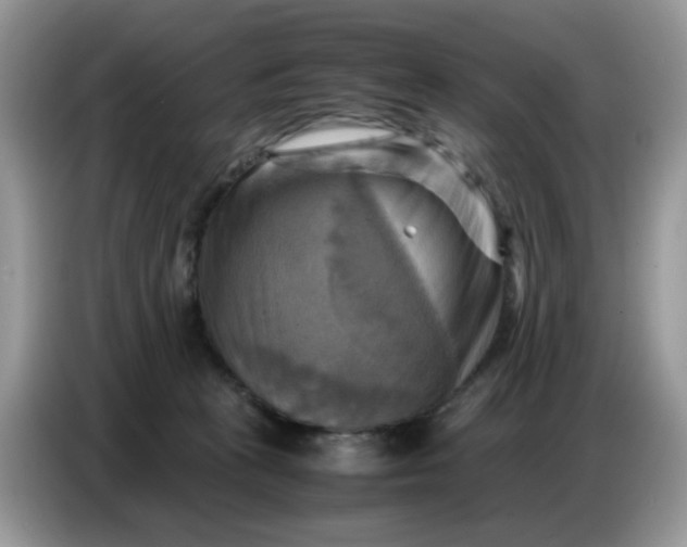 X0000086770273200704271756