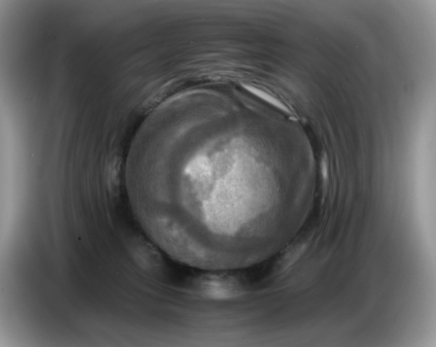 X0000086770275200704271756