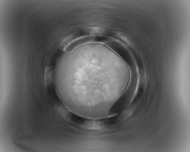 X0000086770276200704271756