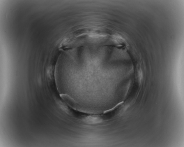 X0000086770280200704271756