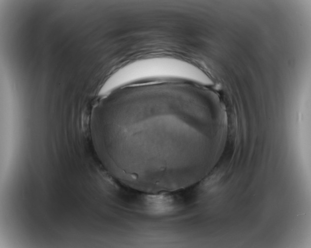 X0000086770281200704271756