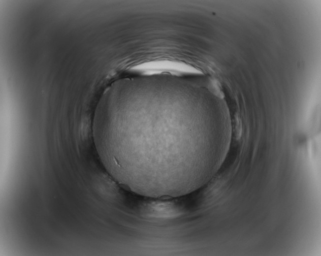 X0000086770283200704271756