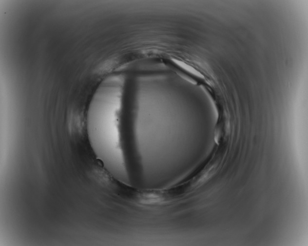 X0000086770285200704271756