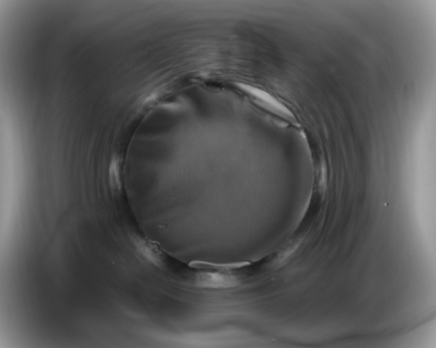X0000086770286200704271756