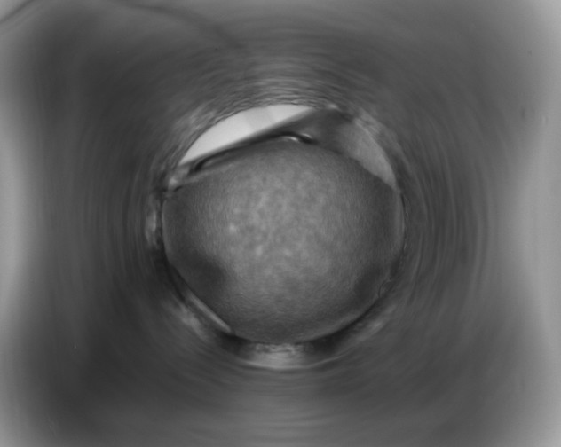 X0000086770288200704271756