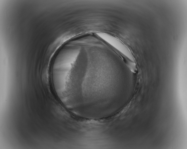 X0000086770290200704271755