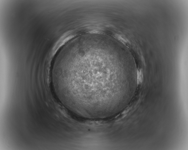 X0000086770291200704271755