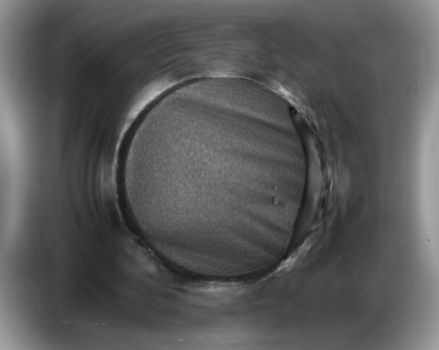 X0000086770292200704271755