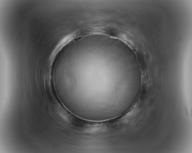 X0000086770293200704271755
