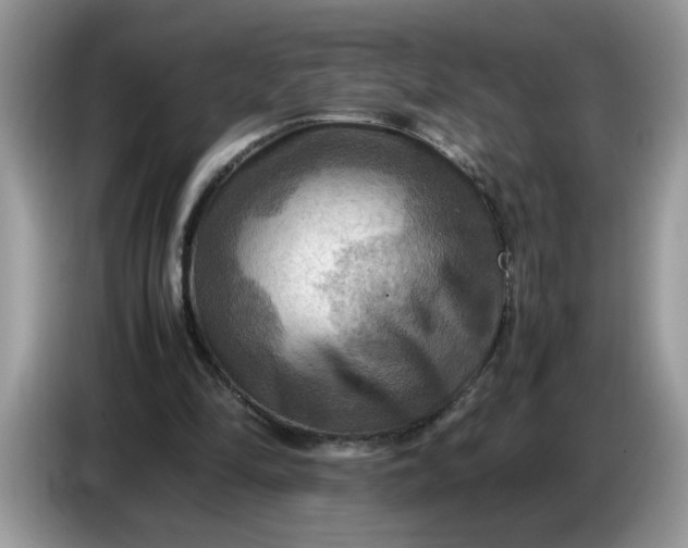 X0000086770294200704271755