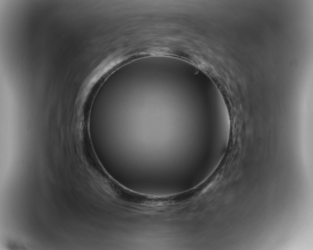 X0000086770295200704271755