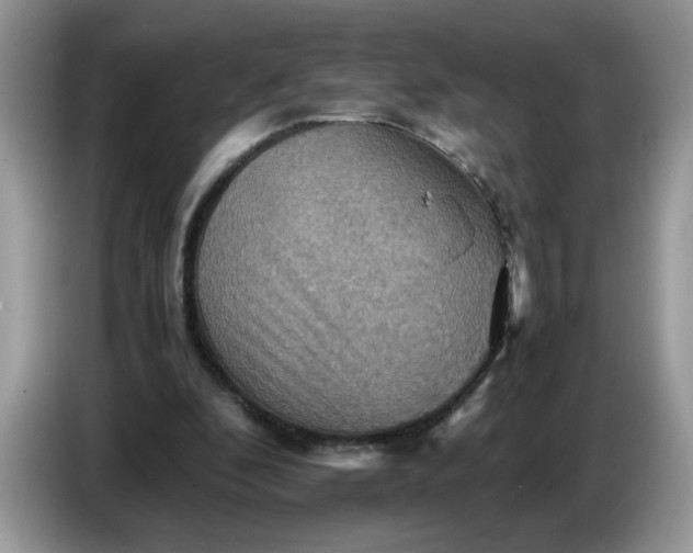 X0000086770296200704271755