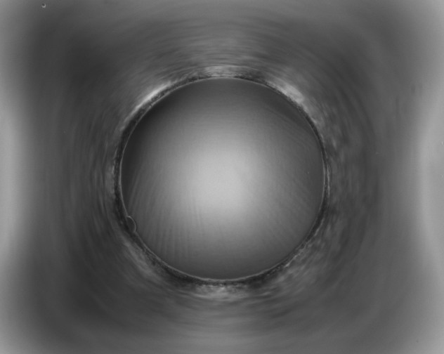 X0000086770297200704271755