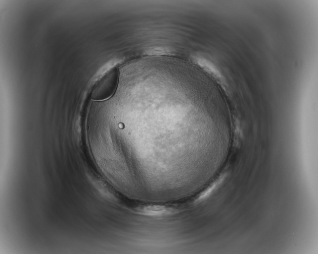 X0000086770298200704271755