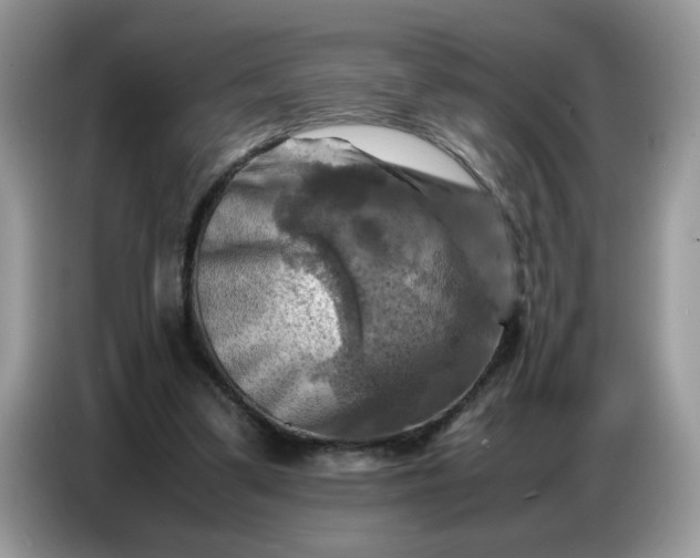 X0000086770299200704271755