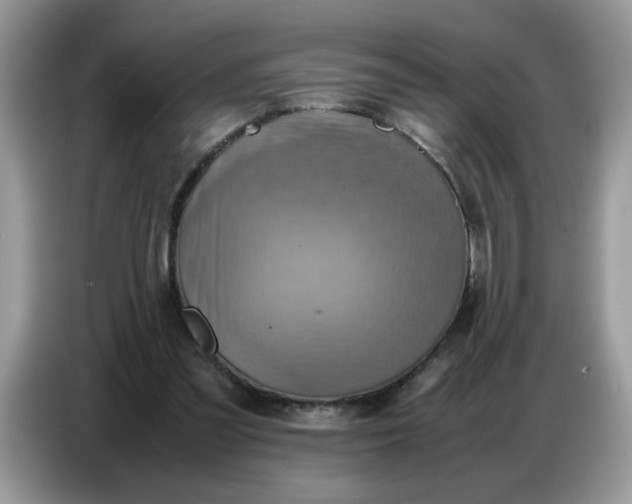 X0000086770301200704271755