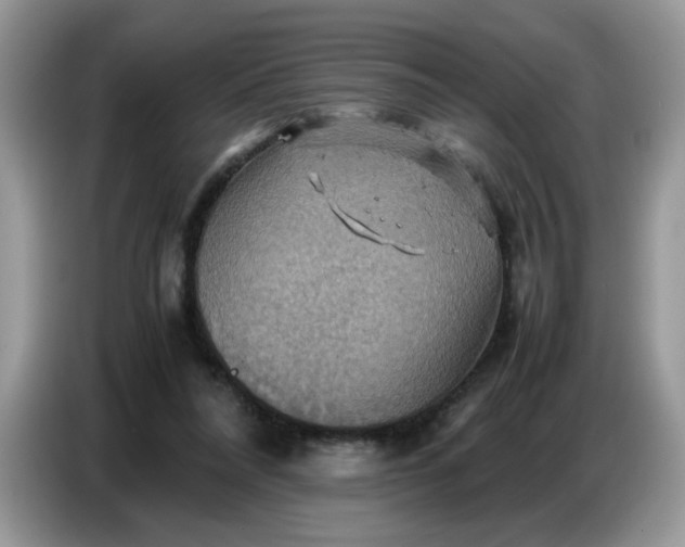 X0000086770304200704271755