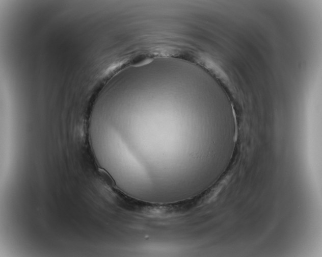 X0000086770305200704271755