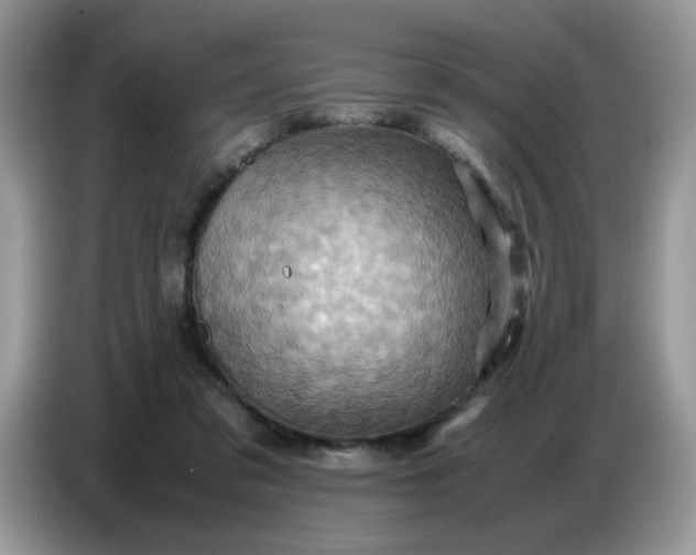 X0000086770309200704271755