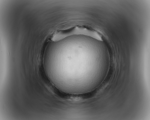 X0000086770311200704271755