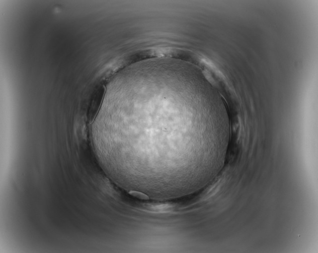 X0000086770313200704271755