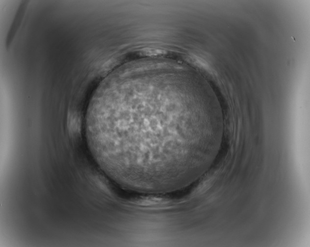 X0000086770315200704271755