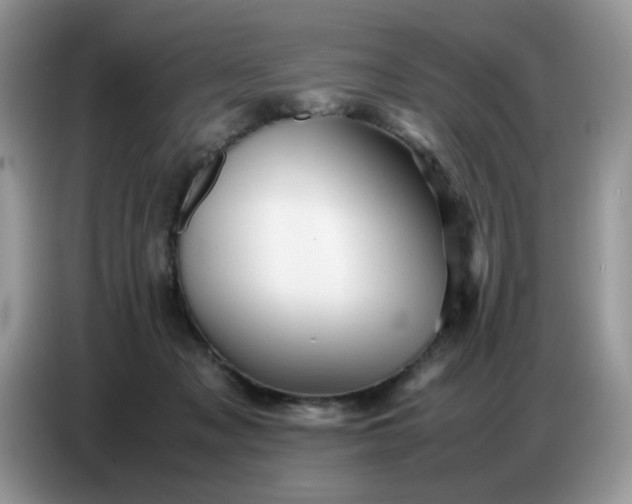 X0000086770317200704271755
