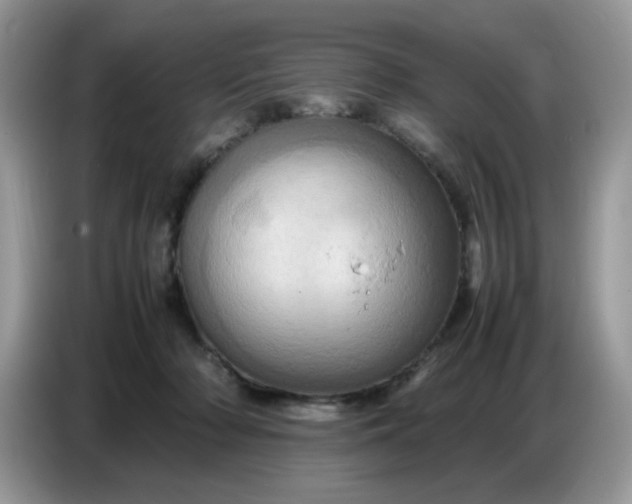 X0000086770318200704271755