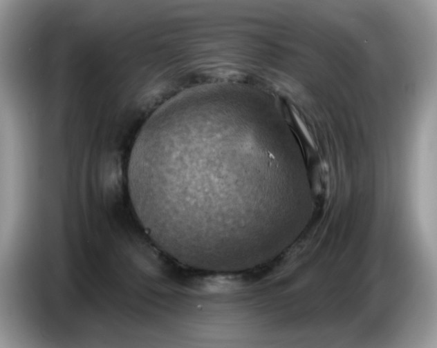 X0000086770320200704271755