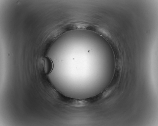 X0000086770321200704271755