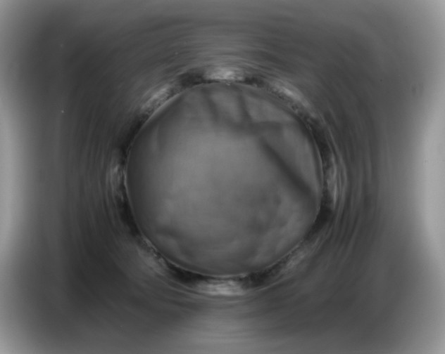 X0000086770322200704271755