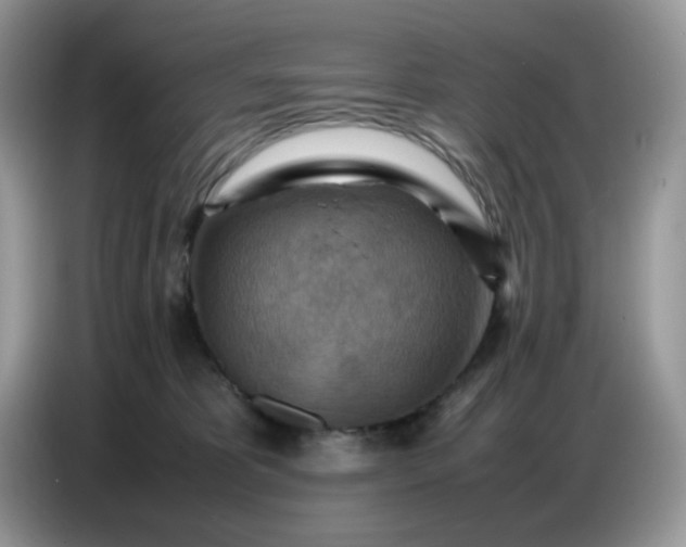 X0000086770325200704271755