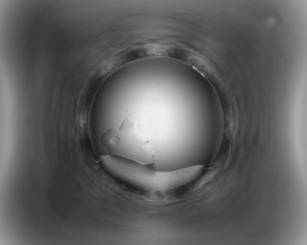 X0000086770329200704271755