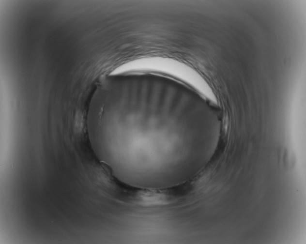 X0000086770331200704271755