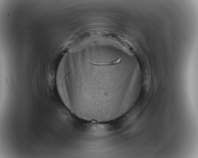 X0000086770332200704271755