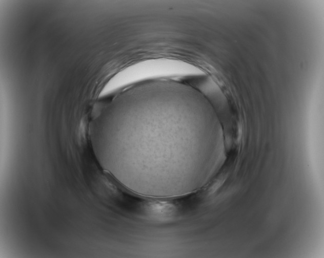 X0000086770333200704271755