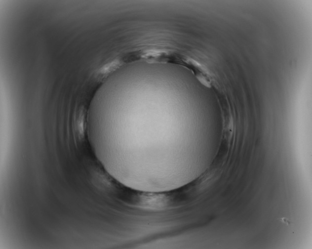 X0000086770334200704271755