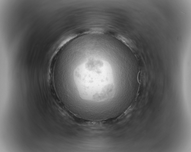 X0000086770338200704271754